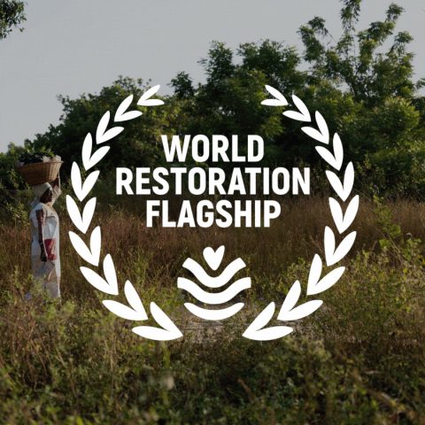 UN World Restoration Flagships
