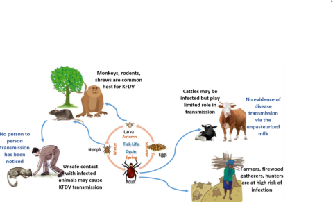 Kyasanur Forest Disease (KFD)
