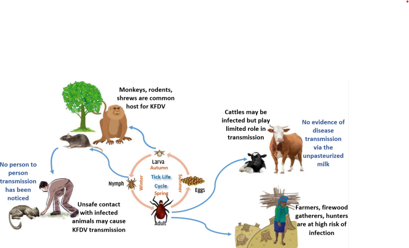 Kyasanur Forest Disease (KFD)
