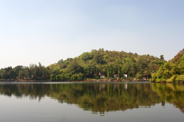 Carambolim Lake Goa: A Serene Birdwatcher's Paradise Carambolim Lake Goa: A Serene Birdwatcher's Paradise