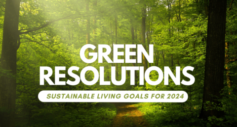 Resolution on Sustainable Lifestyles