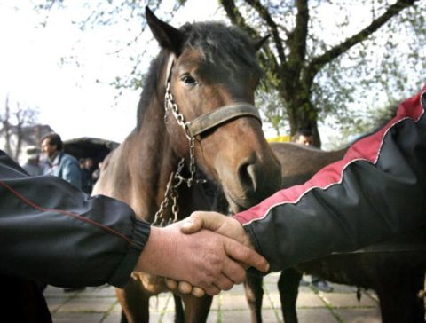 Horse Trading in Indian Politics: Challenges and Solutions