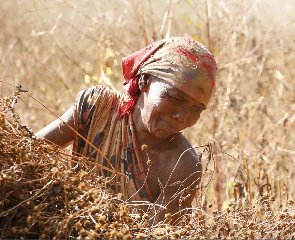 Status of Adivasi Livelihoods Report 2022