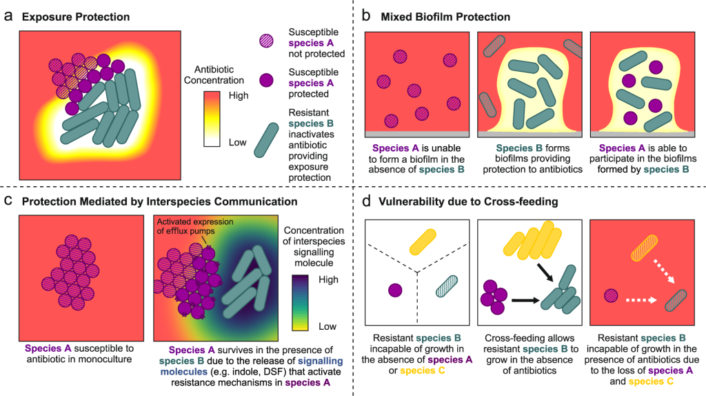 High Variation: Uses of Antibiotics