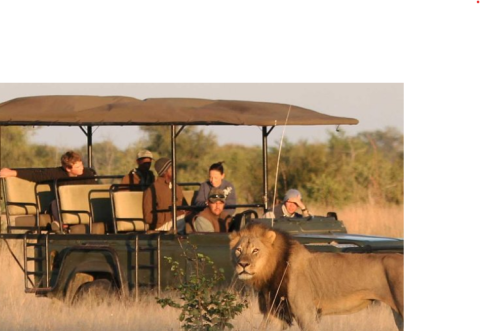 Selous Game Reserve