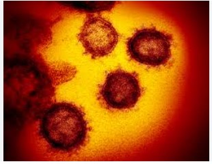 Infectious Respiratory Particles (IRP)