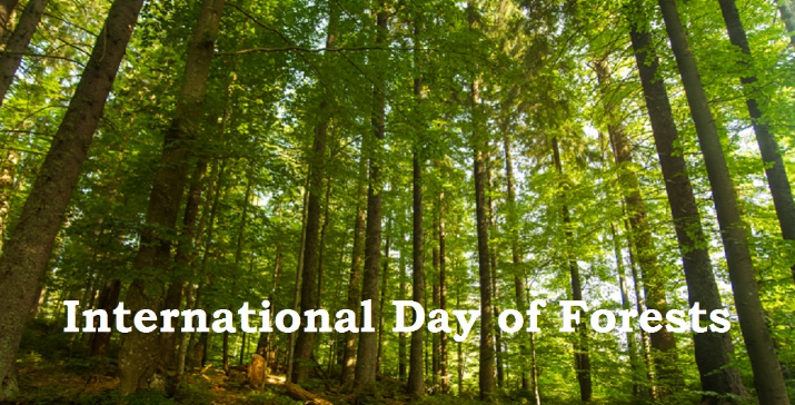 Interational Forest Day