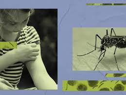 NCDC Data Reveals Surge in Typhoid, Dengue, Malaria, Scrub Typhus, and Influenza Cases