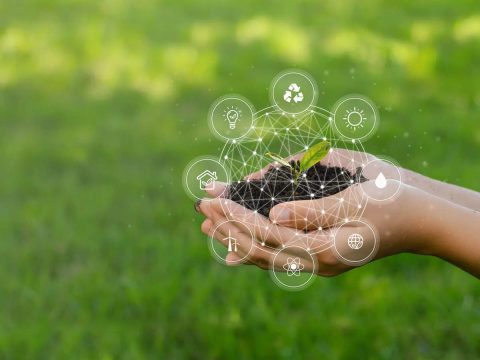 Carbon Border Adjustment Mechanism (CBAM)