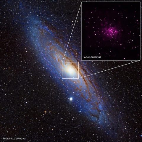 Black Hole Bonanza in Andromeda Galaxy (NASA, Chandra, 06/12/13)