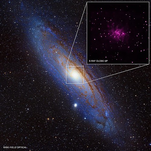 Black Hole Bonanza in Andromeda Galaxy (NASA, Chandra, 06/12/13)