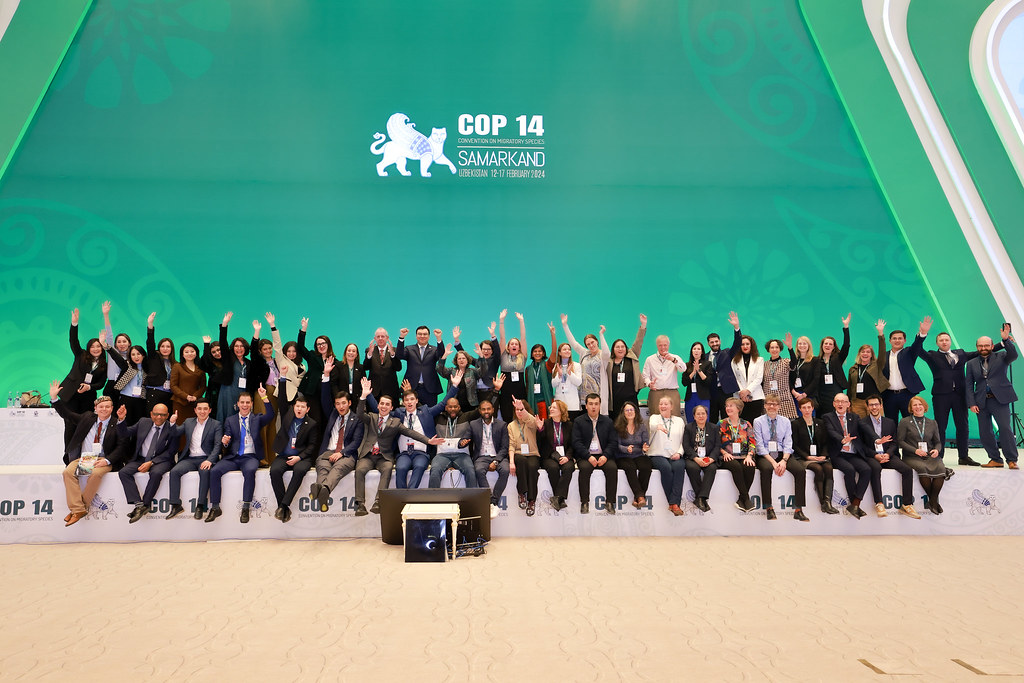 CMS/COP14
