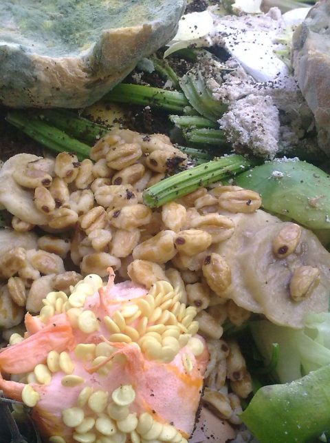 Food waste 3