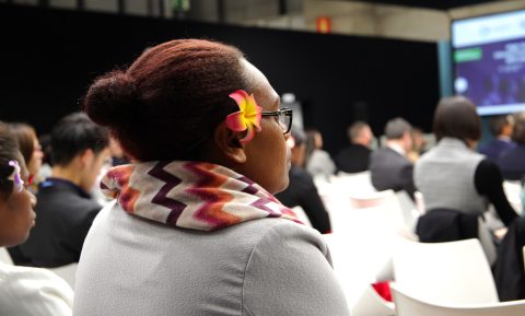 High Level Forum on Climate Finance Strategies for NDC implementation DAY 11