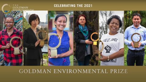 Goldman Prize 2024