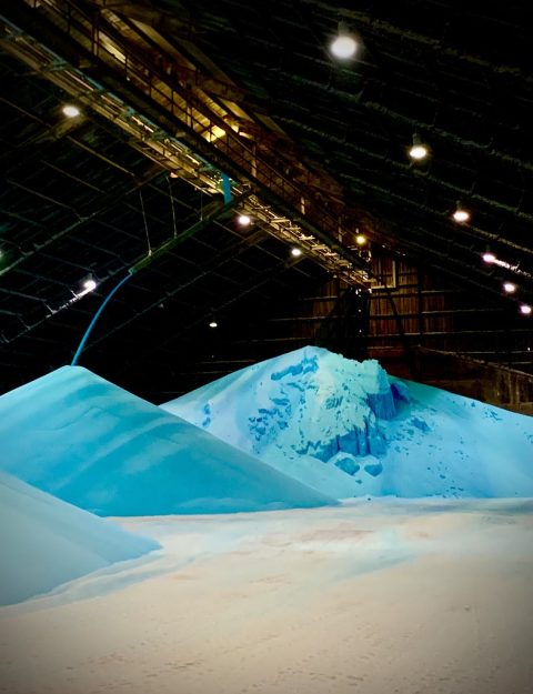 Slow release urea fertilizer