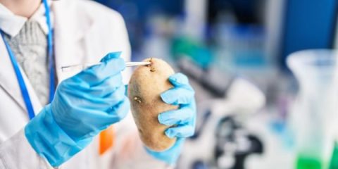 The CIP-South Asia Regional Centre (CIP-SARC) Agra