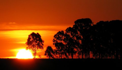 The beauty of nuclear fusion