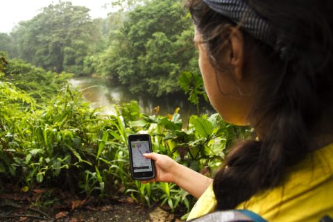 Using Global Forest Watch in the field