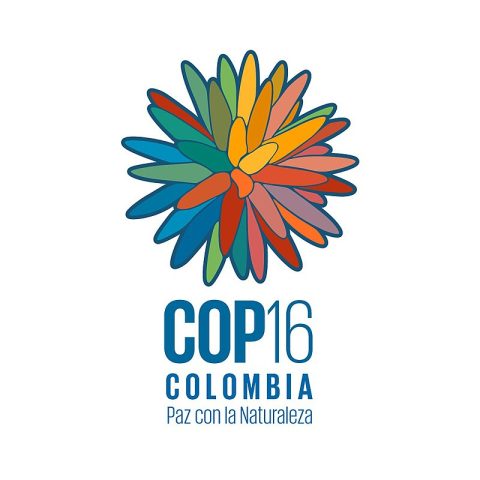 Road to COP16: Stalemate at CBD Implementation Body Meeting