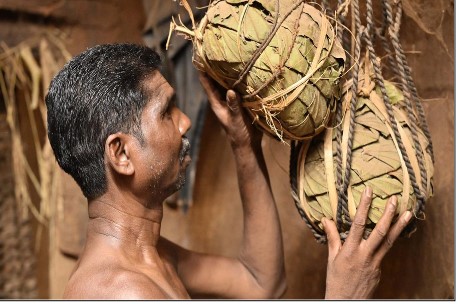 Muria Tribes Seed Preservation Method: 'Deda'