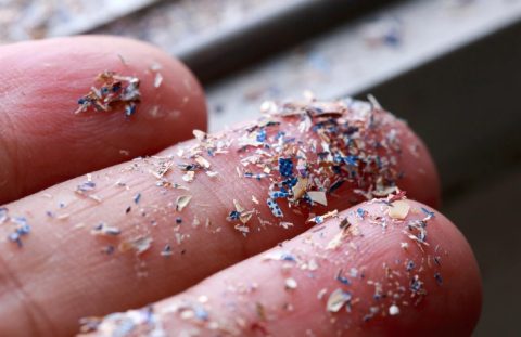 Microplastics