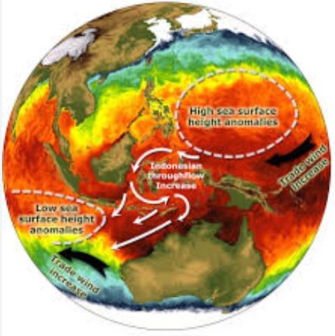 Warming of the Indian Ocean