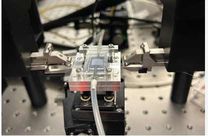 Affordable Sensor Developed for Detecting Lead Contamination