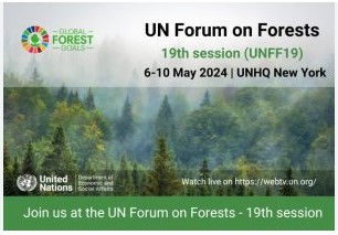 19th United Nations Forum on Forests