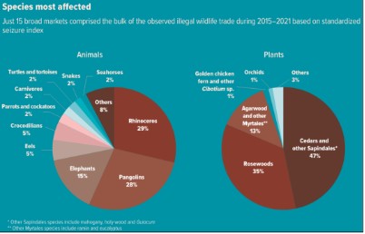 World Wildlife Crime Report 2024