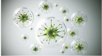 WHO Updates Bacterial Pathogens Priority List