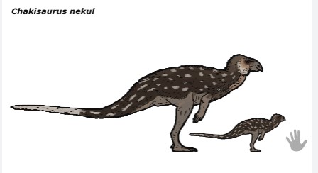 The Chakisaurus Nekul