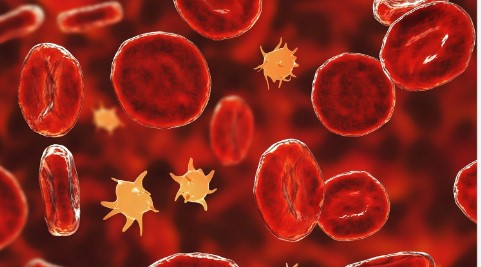 Covishield and Thrombosis Thrombocytopenia Syndrome