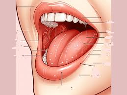 Tata Memorial Centre (TMC) study on Oral Cancer