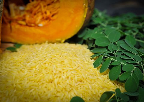Philippines revoked biosafety permits of Golden Rice