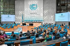 Bonn Climate Conference 2024