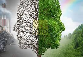 बॉन जलवायु सम्मेलन 2024