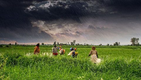 Some WTO Members Question India's Farm Subsidies