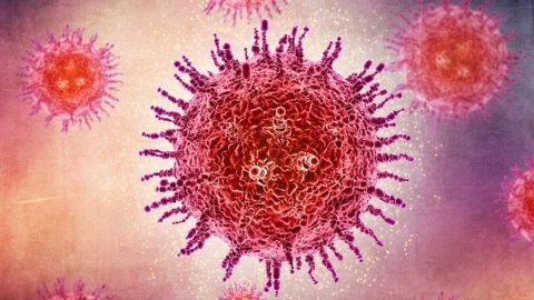 Oropouche Virus