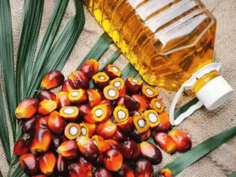 India and Malaysia to Enhance Cooperation in Oil Palm and Other Sectors
