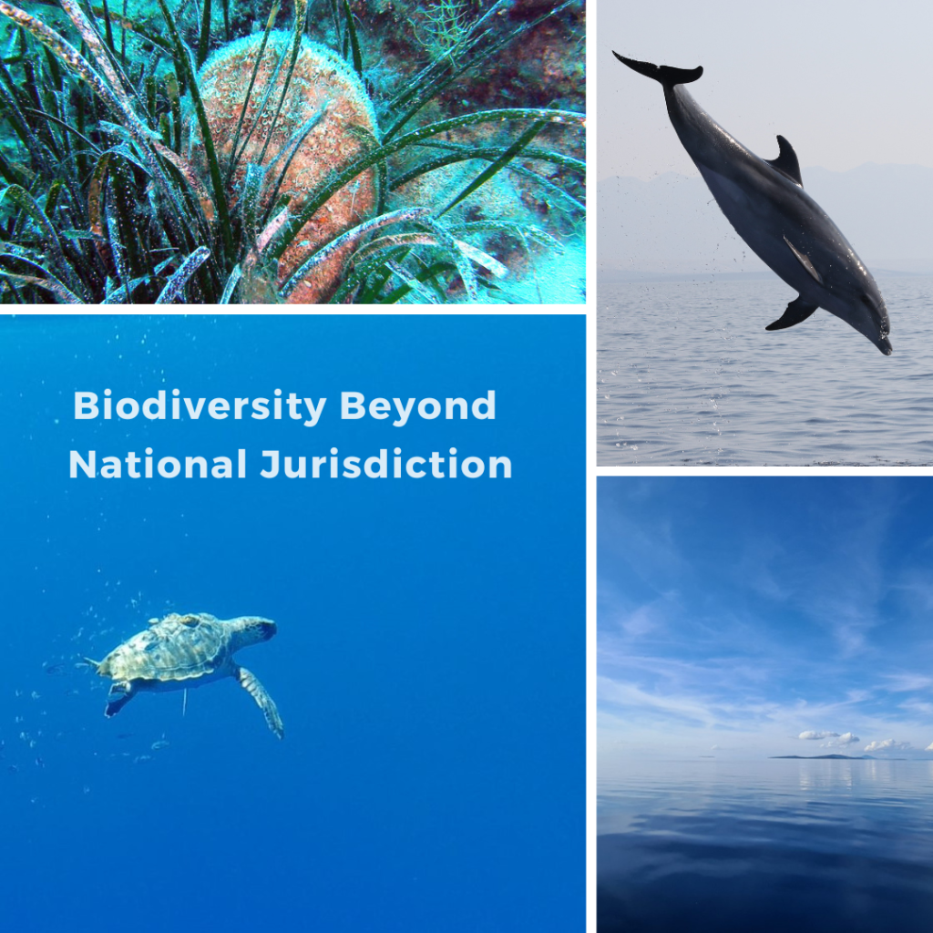 Biodiversity Beyond National Jurisdiction (BBNJ) Agreement