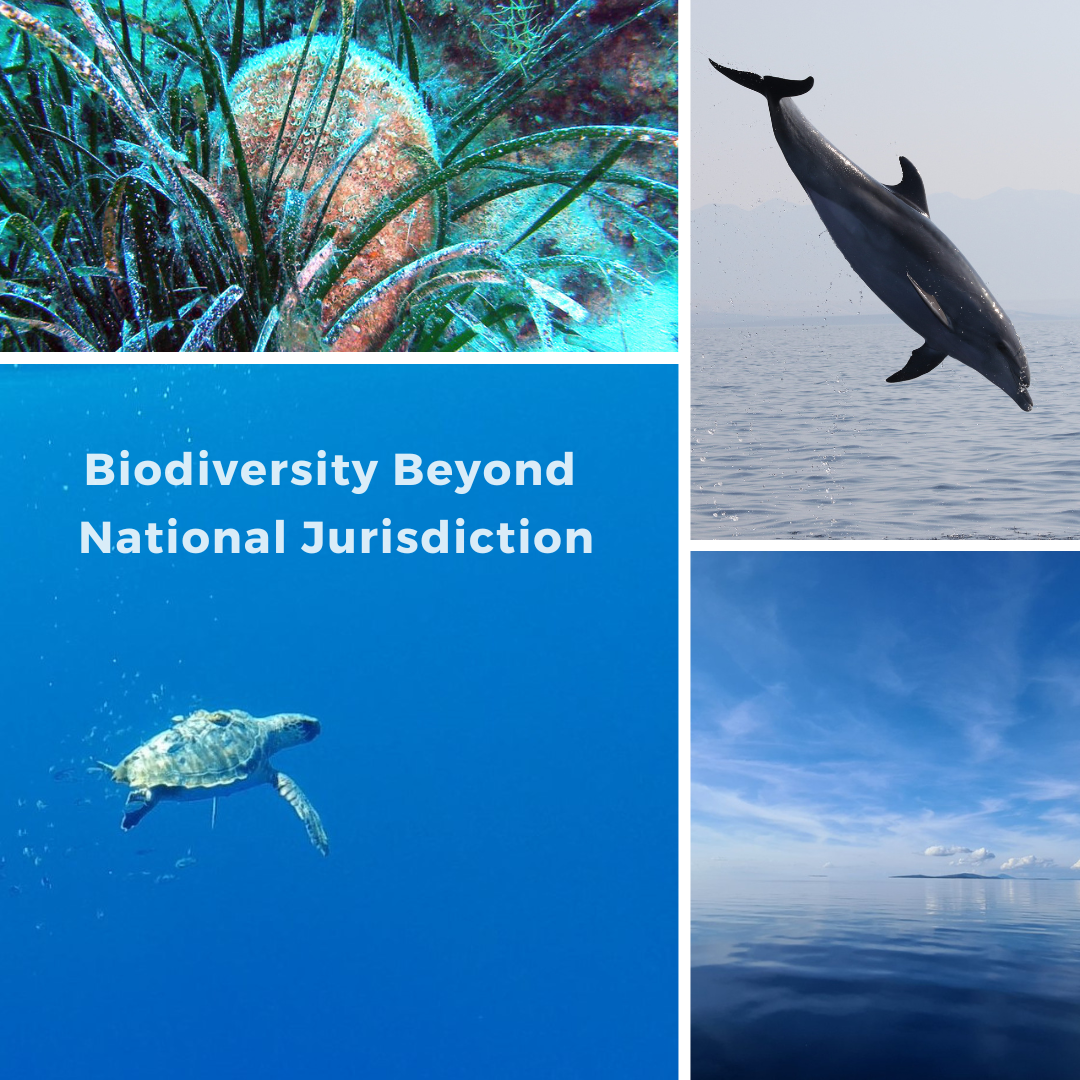 Biodiversity Beyond National Jurisdiction (BBNJ) Agreement - UPSC ...