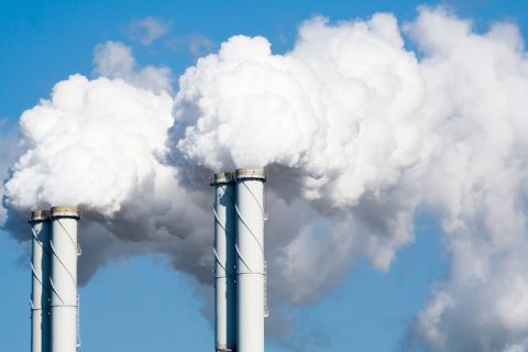EU Carbon Tax Protectionism