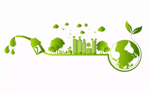 India's Ethanol Blending Programme