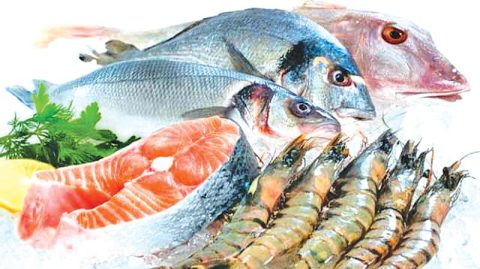 India’s Seafood Exports