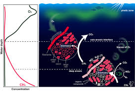 India Isolates its First Methane Oxidising Bacteria