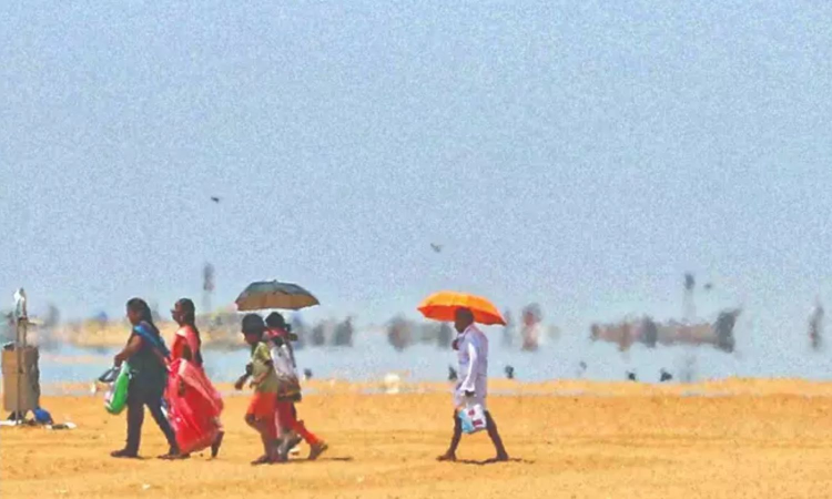 Tamil Nadu notifies heatwaves as 'state disaster’