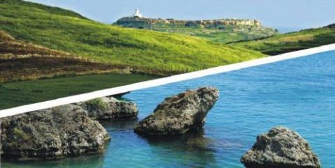 National Biodiversity Strategy and Action Plans (NBSAPs)
