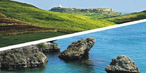 National Biodiversity Strategy and Action Plans (NBSAPs)