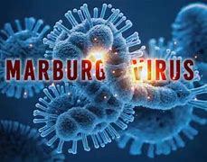 Marburg Virus Disease (MVD)